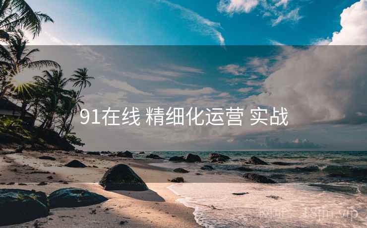 91在线 精细化运营 实战  第2张
