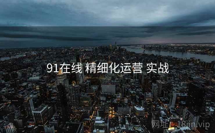 91在线 精细化运营 实战  第1张