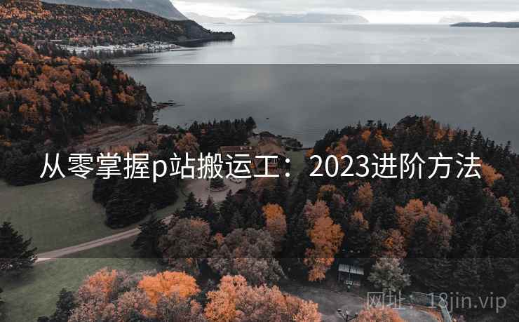 从零掌握p站搬运工：2023进阶方法  第2张