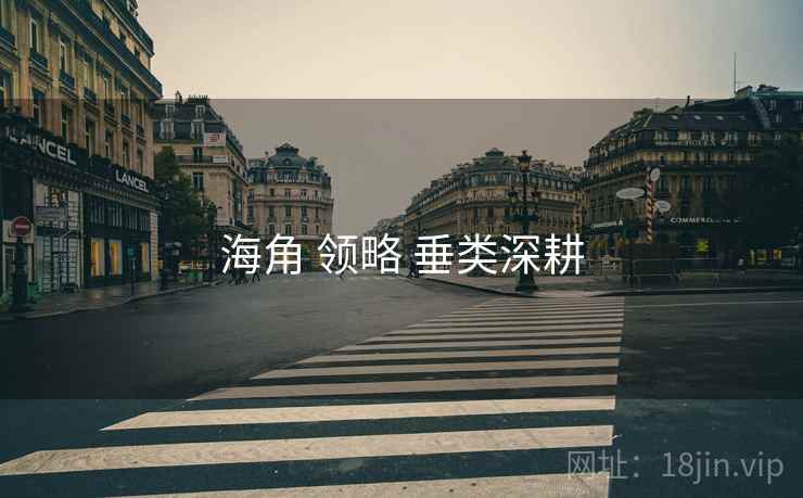 海角 领略 垂类深耕  第1张