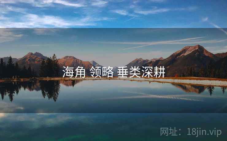 海角 领略 垂类深耕  第2张