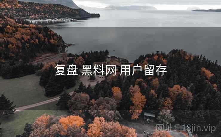 复盘 黑料网 用户留存  第2张