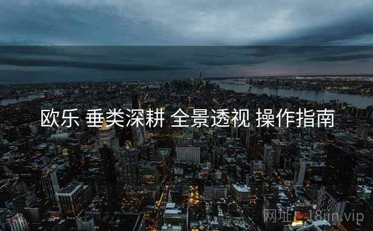 欧乐 垂类深耕 全景透视 操作指南  第1张