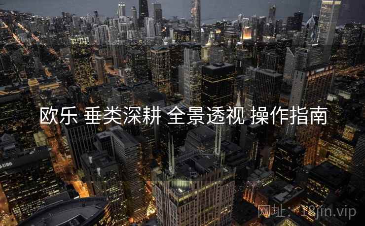欧乐 垂类深耕 全景透视 操作指南  第2张