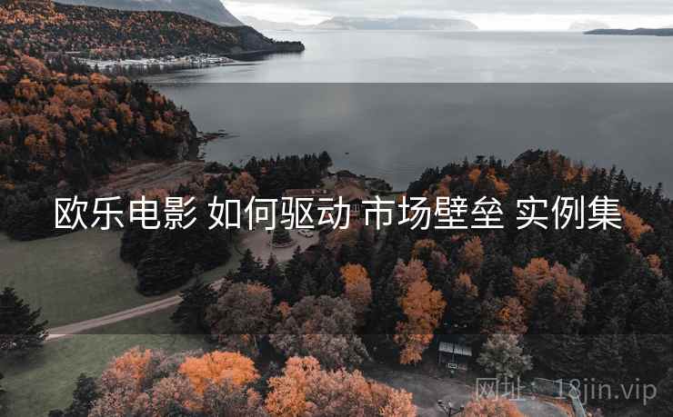 欧乐电影 如何驱动 市场壁垒 实例集  第2张