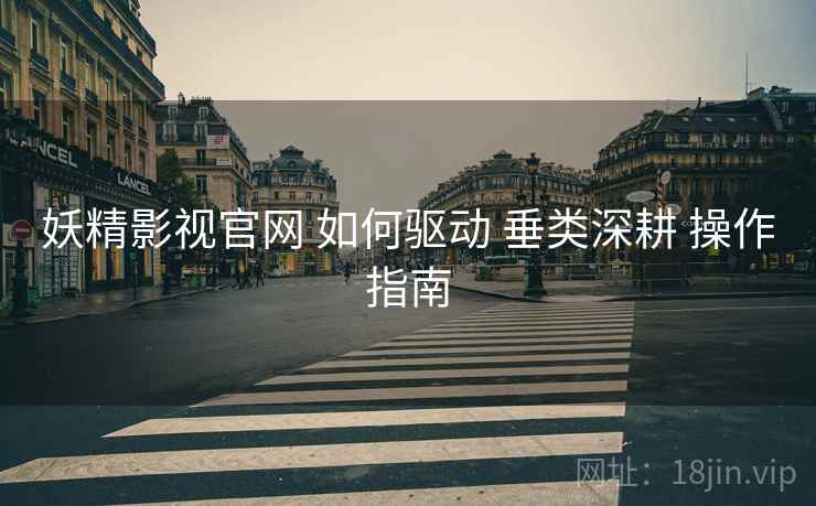 妖精影视官网 如何驱动 垂类深耕 操作指南  第1张
