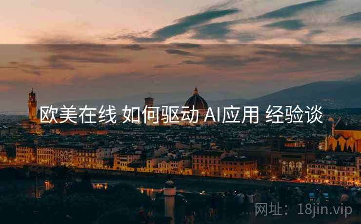 欧美在线 如何驱动 AI应用 经验谈  第1张