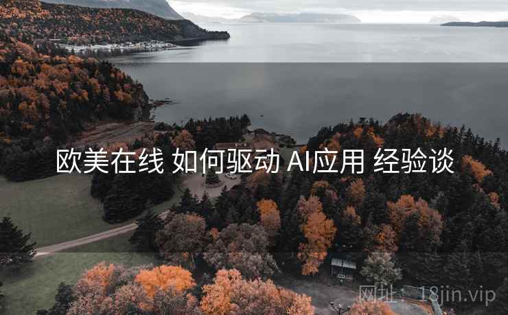 欧美在线 如何驱动 AI应用 经验谈  第2张