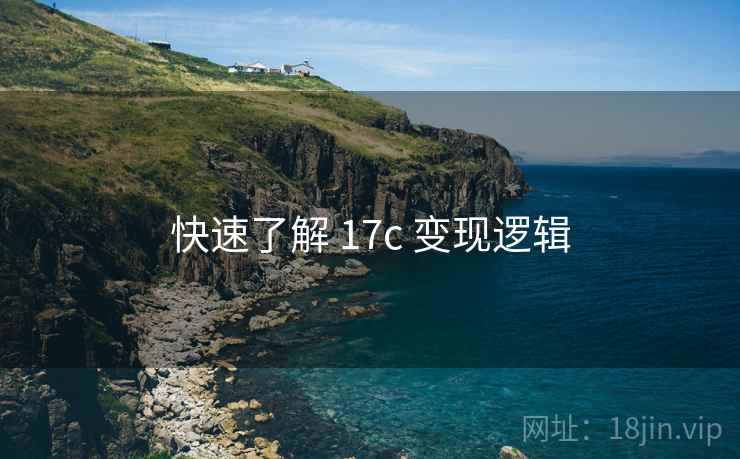 快速了解 17c 变现逻辑  第1张