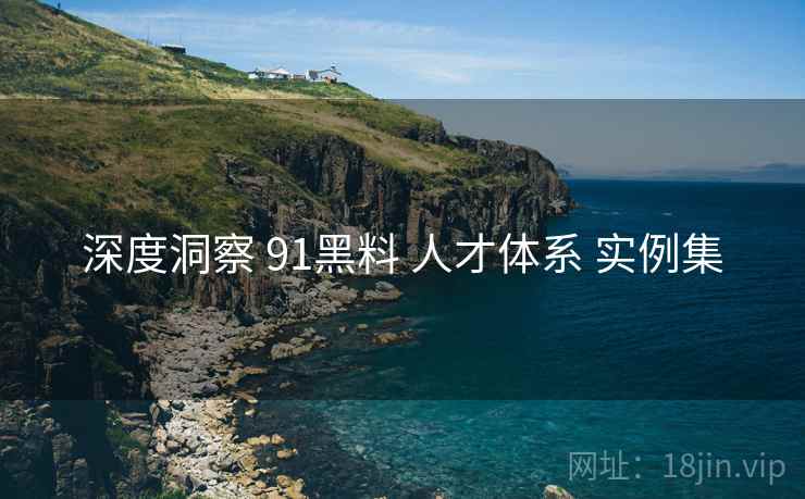 深度洞察 91黑料 人才体系 实例集  第1张