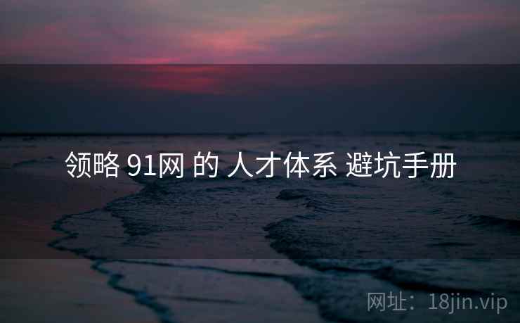 领略 91网 的 人才体系 避坑手册  第2张
