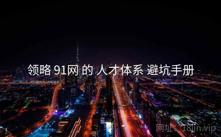 领略 91网 的 人才体系 避坑手册  第1张