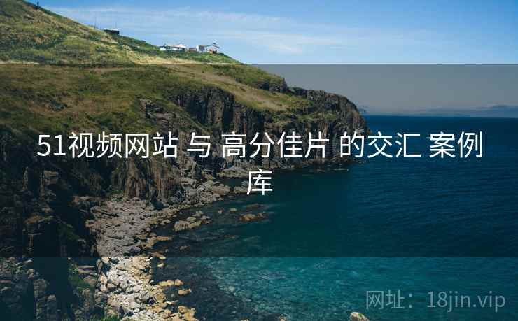 51视频网站 与 高分佳片 的交汇 案例库  第2张
