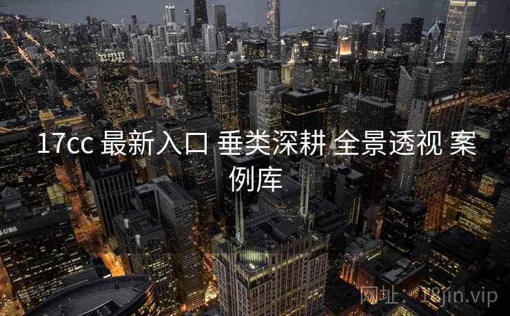17cc 最新入口 垂类深耕 全景透视 案例库  第1张