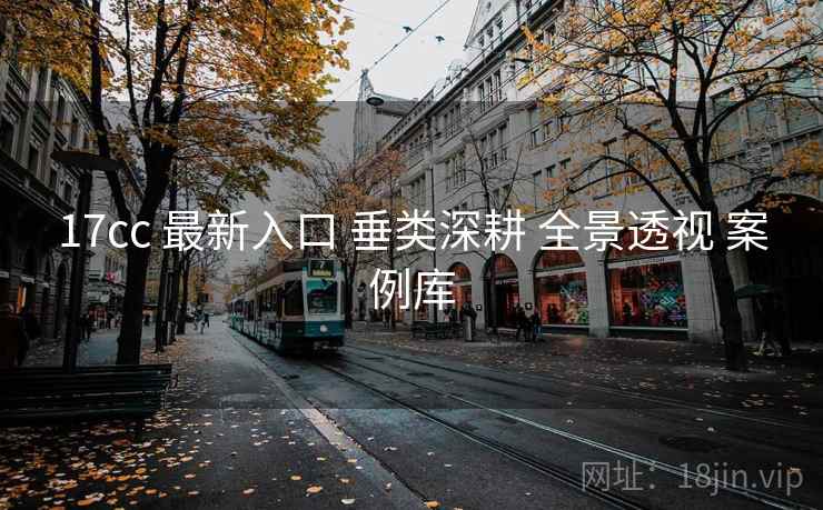 17cc 最新入口 垂类深耕 全景透视 案例库  第2张
