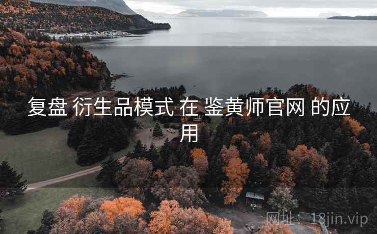 复盘 衍生品模式 在 鉴黄师官网 的应用  第2张