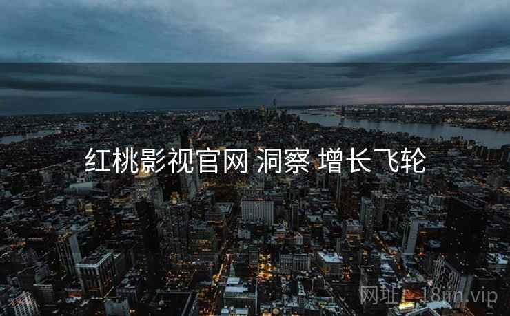红桃影视官网 洞察 增长飞轮  第1张