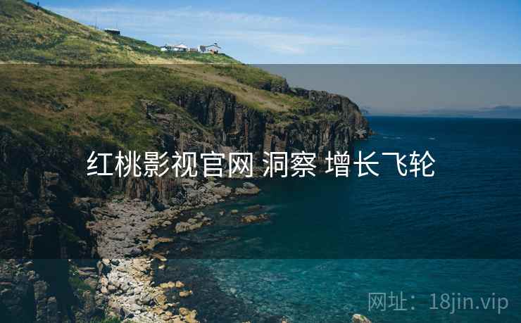 红桃影视官网 洞察 增长飞轮  第2张