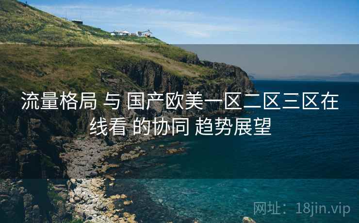 流量格局 与 国产欧美一区二区三区在线看 的协同 趋势展望  第2张