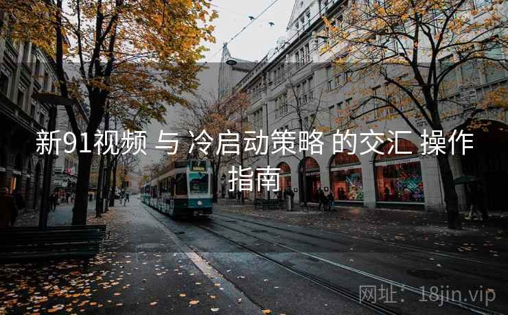 新91视频 与 冷启动策略 的交汇 操作指南  第2张
