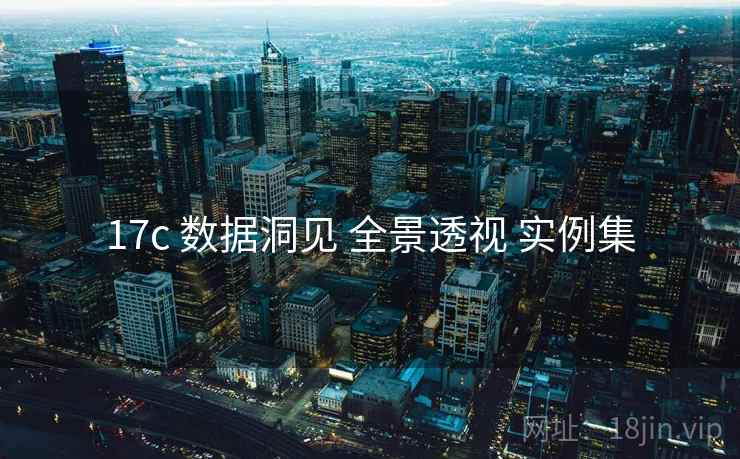 17c 数据洞见 全景透视 实例集  第1张
