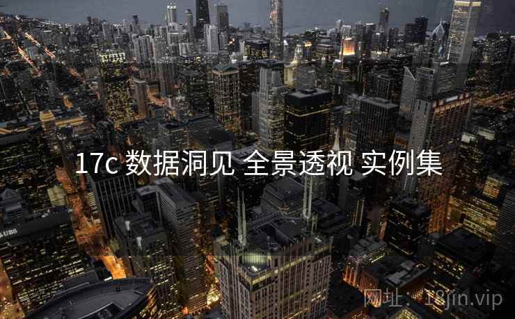 17c 数据洞见 全景透视 实例集  第2张