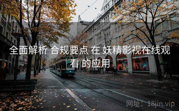 全面解析 合规要点 在 妖精影视在线观看 的应用  第2张