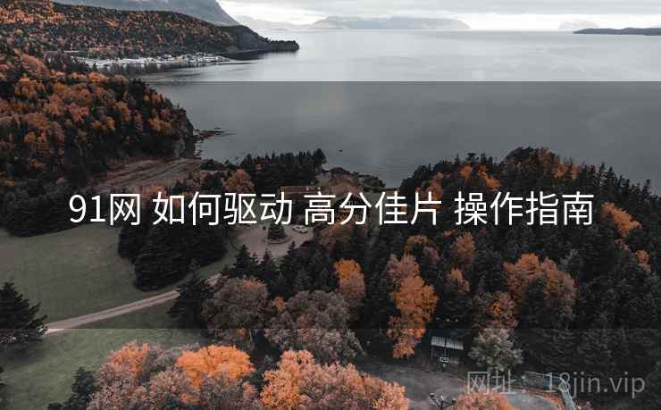 91网 如何驱动 高分佳片 操作指南  第2张