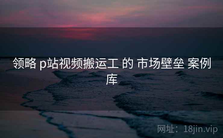 领略 p站视频搬运工 的 市场壁垒 案例库  第2张