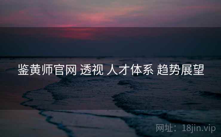 鉴黄师官网 透视 人才体系 趋势展望  第2张