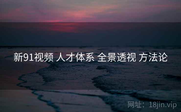 新91视频 人才体系 全景透视 方法论  第1张