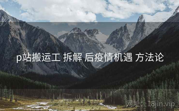 p站搬运工 拆解 后疫情机遇 方法论  第2张