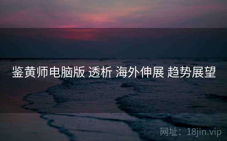 鉴黄师电脑版 透析 海外伸展 趋势展望  第2张