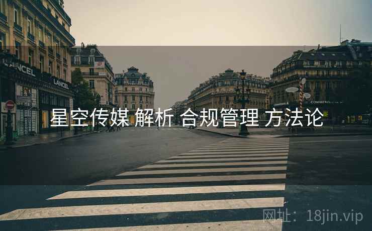 星空传媒 解析 合规管理 方法论  第2张