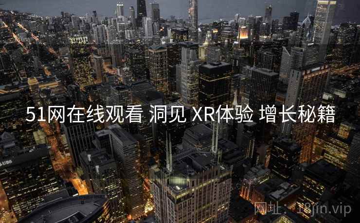 51网在线观看 洞见 XR体验 增长秘籍  第1张