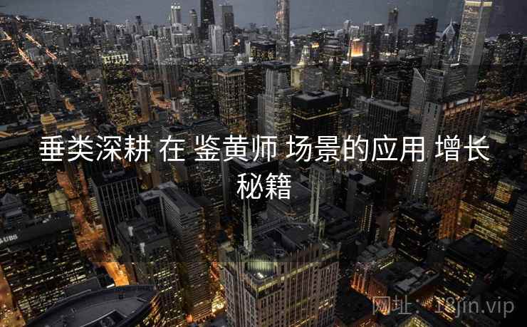 垂类深耕 在 鉴黄师 场景的应用 增长秘籍  第2张