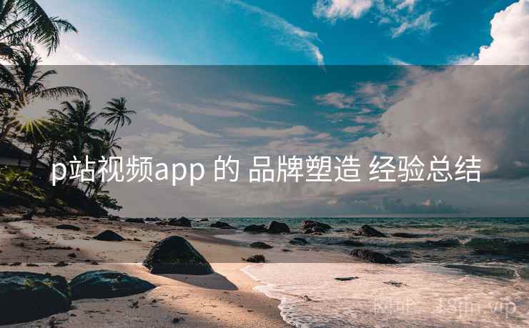 p站视频app 的 品牌塑造 经验总结  第2张