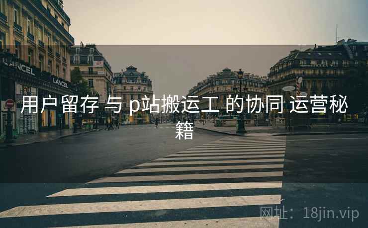 用户留存 与 p站搬运工 的协同 运营秘籍  第2张
