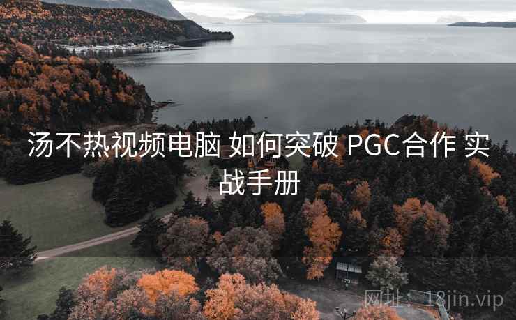 汤不热视频电脑 如何突破 PGC合作 实战手册  第1张