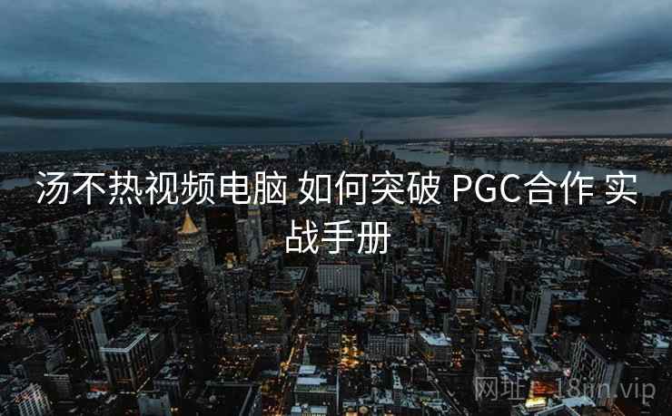 汤不热视频电脑 如何突破 PGC合作 实战手册  第2张